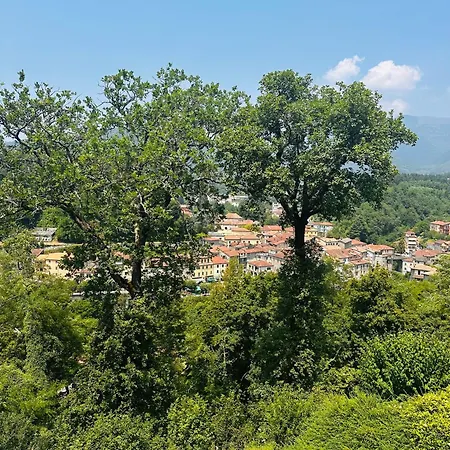 Sole Di