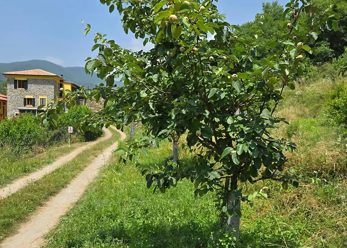 Sole Di Ferienhaus Bagnone