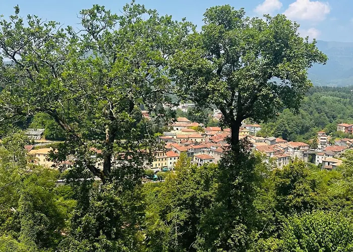 Sole Di
