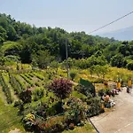 Sole Di Bagnone